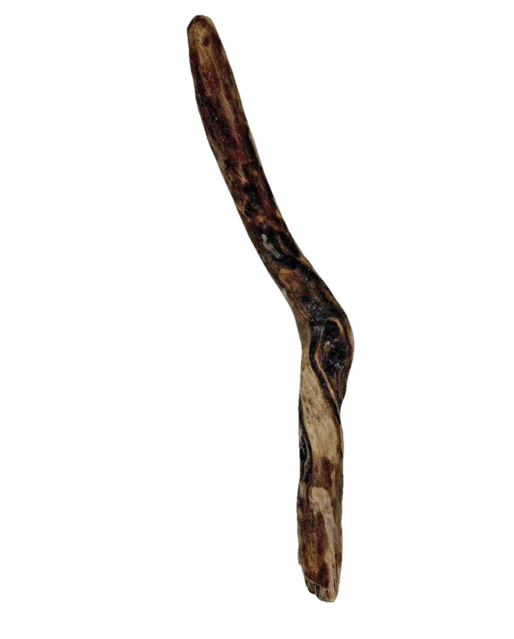 Bent California Driftwood with Burnt Patina & Natural Bend – Sculptural Wood